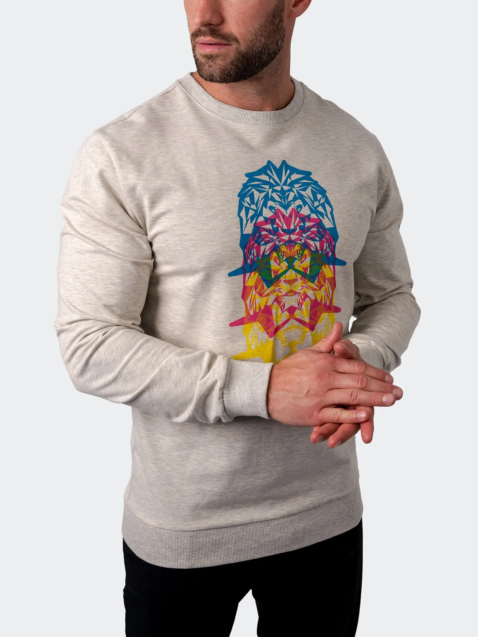 Sweater MirageLion Grey